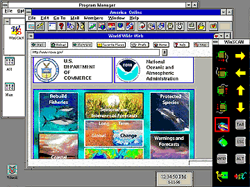 Surfing the Net